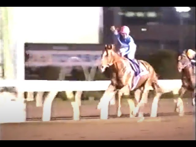 1995 第36回 宝塚記念 ダンツシアトル - YouTube