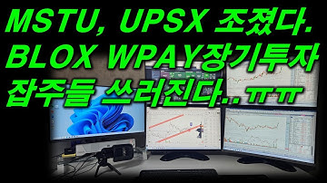 개잡주 토나온다...ㅠㅠ / WPAY, BLOX 장기투자   2025.11.11(화)