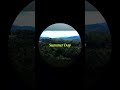 “Beautiful aerial views captured by my drone — see the world from a stunning new perspective.”