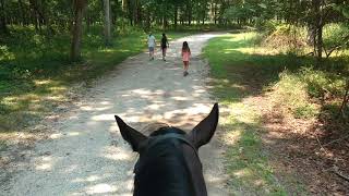 Skye Goes Out On Trail