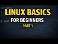 Linux Basic Commands Explained for Beginners | Part 1 | EngageWithEngineer 