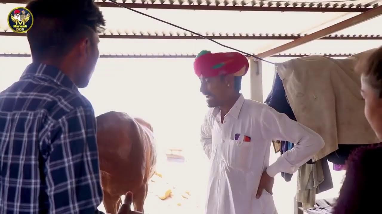 न्यू मारवाड़ी कॉमेडी लाइव ll मारवाड़ी डांस सुपरहिट कॉमेडी