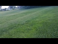 Mowed out a track for my slash