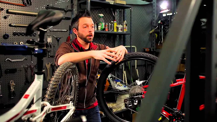 Buyer's Guide: 26-inch vs 29-inch Mountain Bikes by Performance Bicycle
