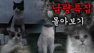 Scary Story Binge-Watching (ENG SUB)