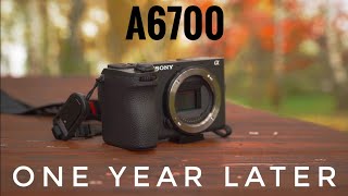 Sony A6700. Honest Opinion after 1 Year.