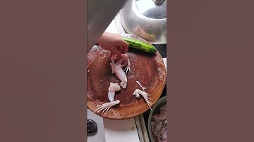 GI599957 mini rotary tillage and ridging all-in one tree 🌲 short view#subscribe