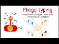 Phage typing  introduction  principle  basic steps  advantages  limitations 