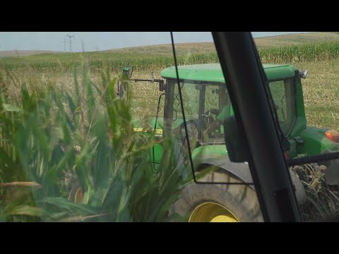 Video: Pestovanie Astilby, Odrôd A Hybridov