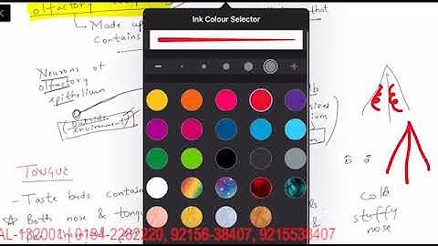 Neural control & coordination by Dr. Abhinav (AIIMS Delhi)