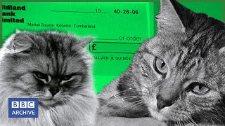 1973: CATS with their own BANK ACCOUNT | Nationwide | Weird and Wonderful | BBC Archive