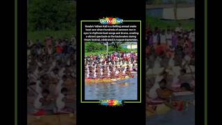 Kerala's Vallam Kali: A Thrilling Snake Boat Race During Onam Festival