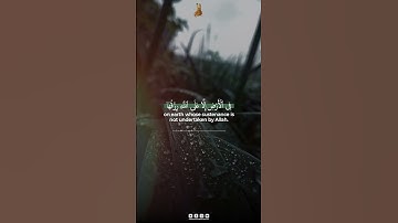 Surah Hud Verse 6 | آية سورة هود 6 | Abdun Nasir Khan