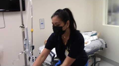 CSF Collection   SD 480p