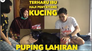 TERHARU KUCING INI AKHIRNYA LAHIRAN SEMPAT DIKIRA SAKIT FIP