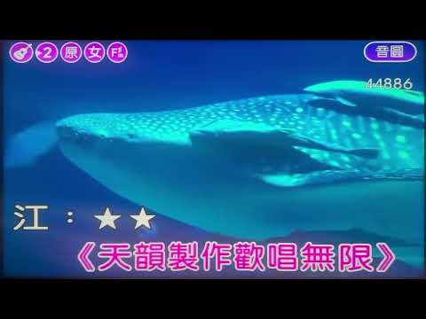 千石橋