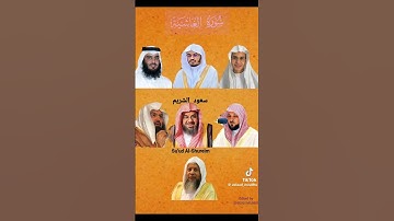 سورة الغاشية اسامة الشيوخ مرحبا ماهر المعيقلي و ياسر الدوسري و عبد الرحمن السديس