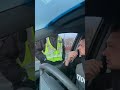 Жмурко на дорозі