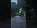 rainy blue hour #ambientmusic #rain #bluehour