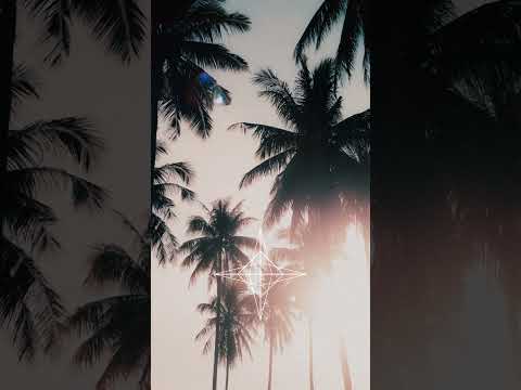 Hippie Sabotage -