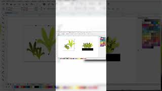 Star Tool Hack in CorelDraw #coreldraw #star #graphicdesign #starshape