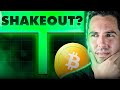BTC Eyes Gains, Altcoins Shine as GR1684 Beckons: Market Weekly Outlook