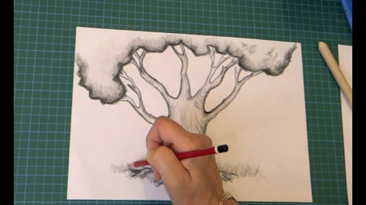 Comment Dessiner Un Arbre étape Par étape