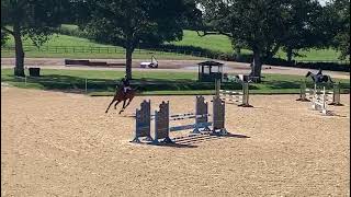 Kateusie - ad ref: 262546 video 1
