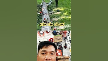 Cắt cây bị kẹt máy cưa nhiều nhất thế giơi là đây