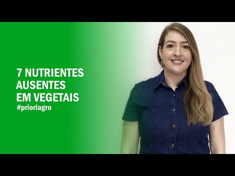 7 nutrientes ausentes em vegetais