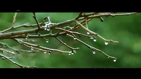مؤيد المزين - تلاوة من سورة آل عمران