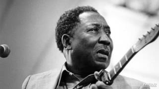 Watch Muddy Waters Iodine In My Coffee video