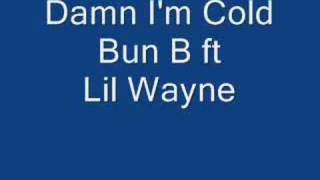 Damn I&#39;m Cold Bun B ft Lil Wayne (High Quality)