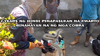 2 YEARS NA HINDI PINAPASUKAN NA KWARTO, BINAHAYAN NA NG MGA COBRA | JTG Kamandag