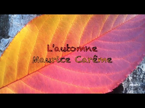 Poesie L Automne Maurice Careme Youtube