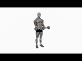 Dumbbell Close Grip Simultaneous Curl - Proper Form &amp; Technique [4K]