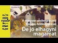 De jó elhagyni magamat - A magyar underground Kaláka-feldolgozásai - CD ajánló | Gryllus Kiadó