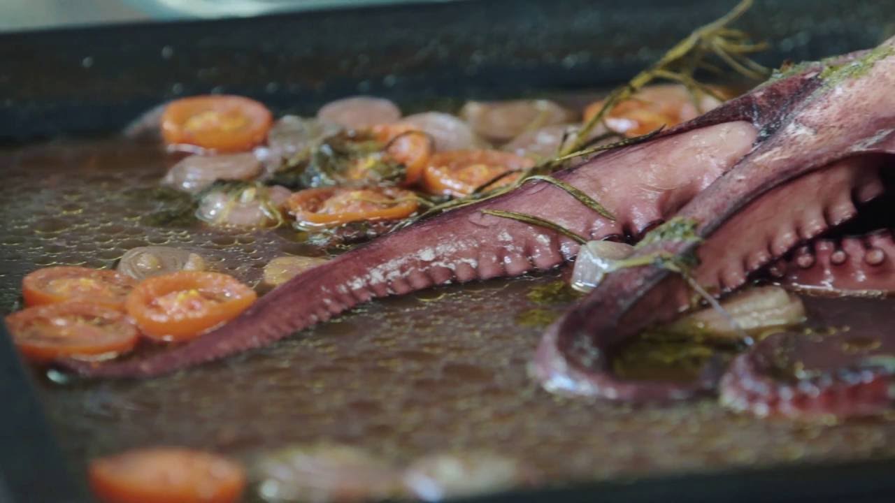 Manual de Instruções - Episódio 6 - Polvo Assado