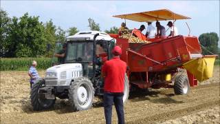 Prova su campo macchine IMAC per raccolta patate (Bologna 2014)