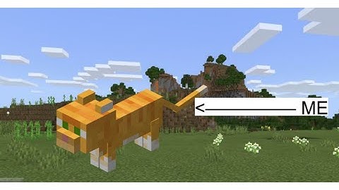 How to morph into any mob in Minecraft! (EASY TUTORIAL!)