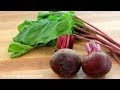 Beets 101 Everything You Need To Know Beets 101 Everything You Need To Know