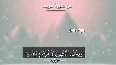 القاريء عبدالرحمن مسعد  {فلا تعجل عليهم إنما نعدلهم عدا} حالات واتساب قرآن كريم