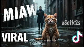 miaw miaw miaw song sad (lyrics video visual