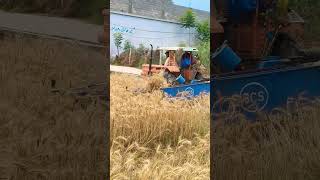 #cutter #cuttermaster #farmers #machine #farmers