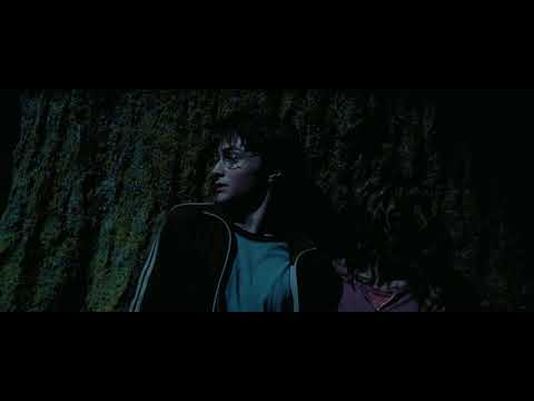 Video: När dog remus i Harry Potter?