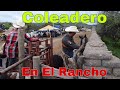 Coleadero en el Ranchito (San José de Las Corrientes Durango)