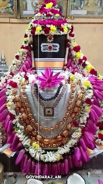 Sivan whatsapp status tamil ✨️ 🙏 Lord shiva whatsapp status tamil