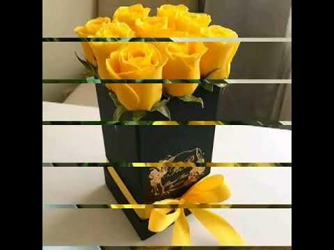 Dumba bilan jinsiy aloqa qilish video