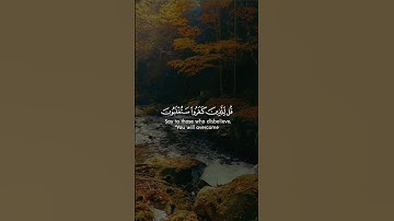 قل للذين كفروا ستغلبون وتحشرون إلى جهنم وبئس المهاد | سورة آل عمران