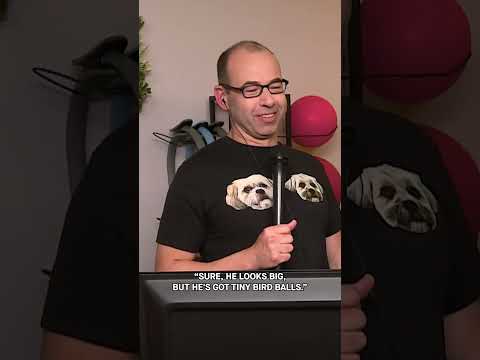 Sal streams and plays natty or not 💪 #ImpracticalJokers | TBS